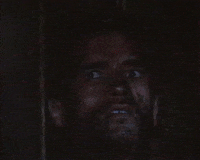 Arnold Schwarzenegger Deal With It GIF