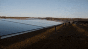 BantamCommunications virginia solarenergy cleanenergy solarpanels GIF