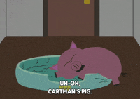 talking GIF by South Park 