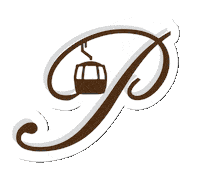 perfeldhof snow skiing skifahren saalbach Sticker