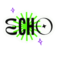 Thenortherngraphics echo echoprotesting Sticker