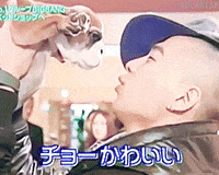 kpop dog top gd bigbang GIF