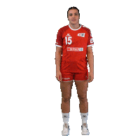 Schweiz Sticker by Swiss Handball