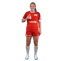 Schweiz Sticker by Swiss Handball