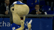Football Soccer GIF by FC Schalke 04