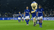 Happy Football GIF by FC Schalke 04