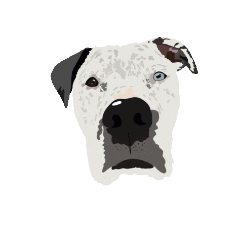 Dog Puppy Sticker by Two Tibetans Digital