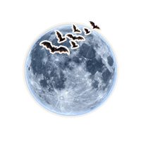 Full Moon Halloween Sticker by IntelligentMobiles GmbH