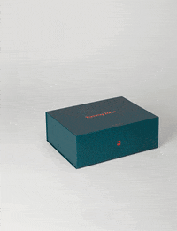 black friday christmas GIF by Tommy John