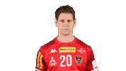 HandballAustria handball ohb handball austria sebastian frimmel Sticker
