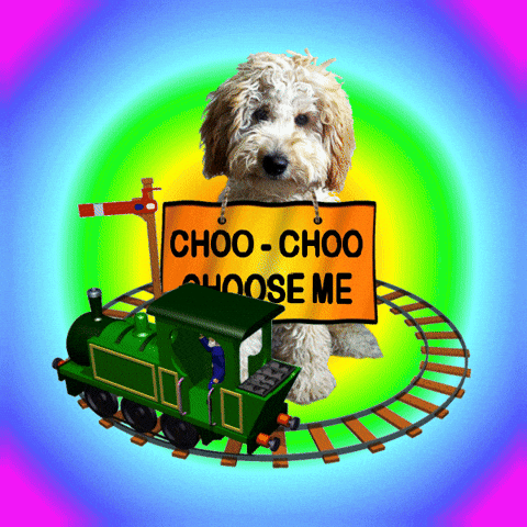 Pick Me Choo Choo GIF