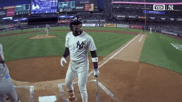 Talking New York Yankees GIF by MLB