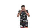 Landing Air France Sticker by FCG Rugby