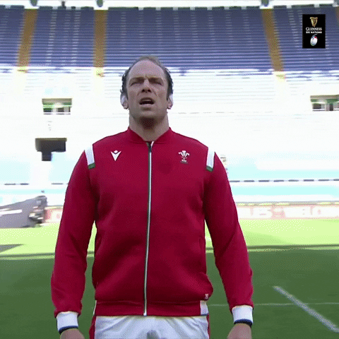 Wales Rugby GIF by Guinness Six Nations