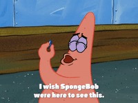 season 4 GIF by SpongeBob SquarePants