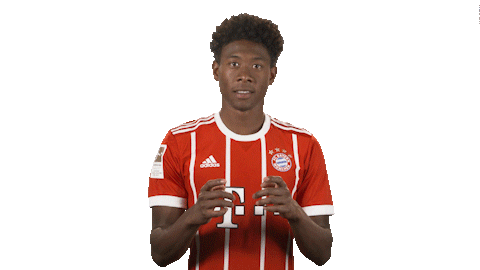 fc bayern football Sticker by Bundesliga