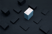 les-canailles animation black typography photography GIF