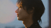 준 Wen Junhui GIF