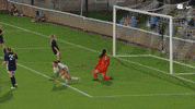 Happy Celebration GIF by UNC Tar Heels