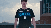 Overwatch Esports GIF by Envy