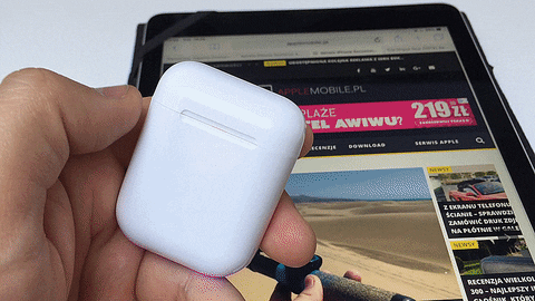 michagruszka giphyupload GIF