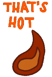 sarahriedlinger hot sexy fire flame Sticker