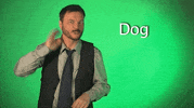 sign language dog GIF by Sign with Robert