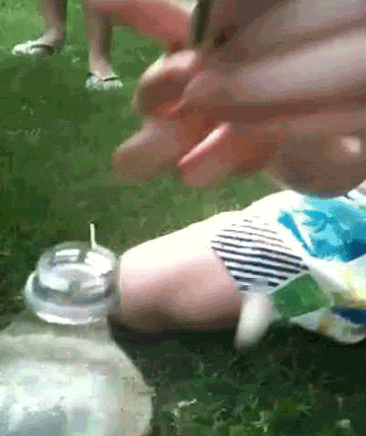 Afv GIF by America's Funniest Home Videos