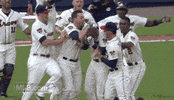 Atlanta Braves GIF by MLB
