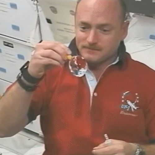 Space Vote GIF by Captain Mark Kelly