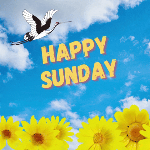 imariajohnsen-sunday-happy-morning-cCuBNLbZqclxkpWyby