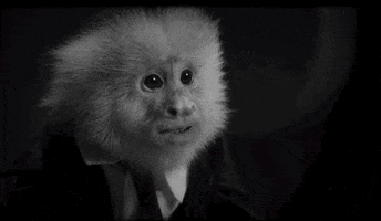 200.gif