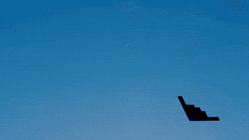 Air Force Homecoming GIF by Norwich University