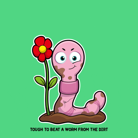 A GIF created by VeeFriends