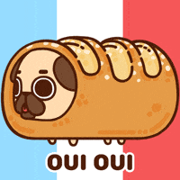 France Dog GIF by Puglie Pug France Dog GIF by Puglie Pug