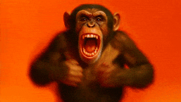 Monkey GIF by Sixt