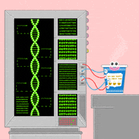 animation domination fox GIF