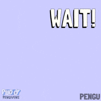 Wait What Waiting GIF by Pudgy Penguins