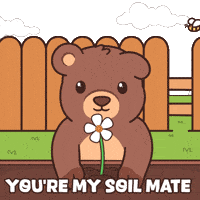 Teddy Bear Flower GIF by BEARISH