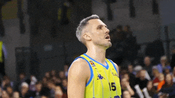 breathe british basketball GIF by Sheffield Sharks