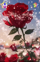 Flores Luces GIF by Murcianys LLC