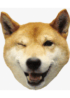 Doge GIF