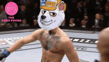 Conor Mcgregor Dog GIF by The Doge Pound 