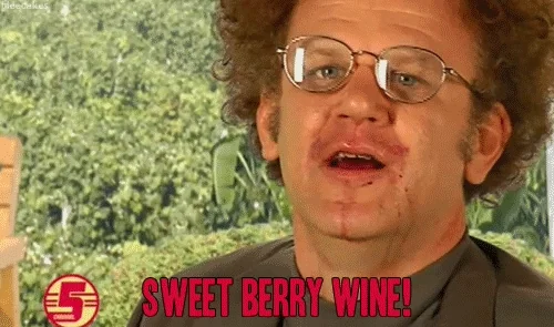 Drunk Tim And Eric GIF