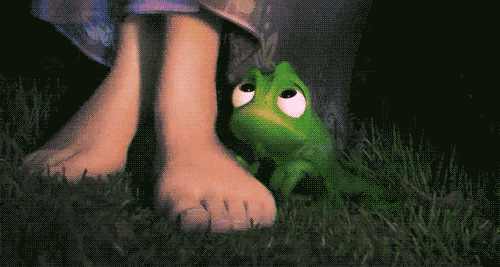 Comfort gif