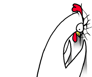 Chicken gif