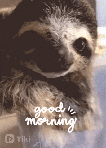 Morning gif