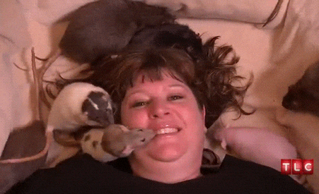 Furminator gif