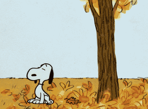 Autumn gif