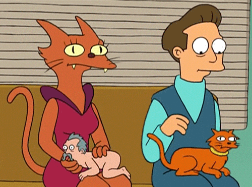 Pets gif